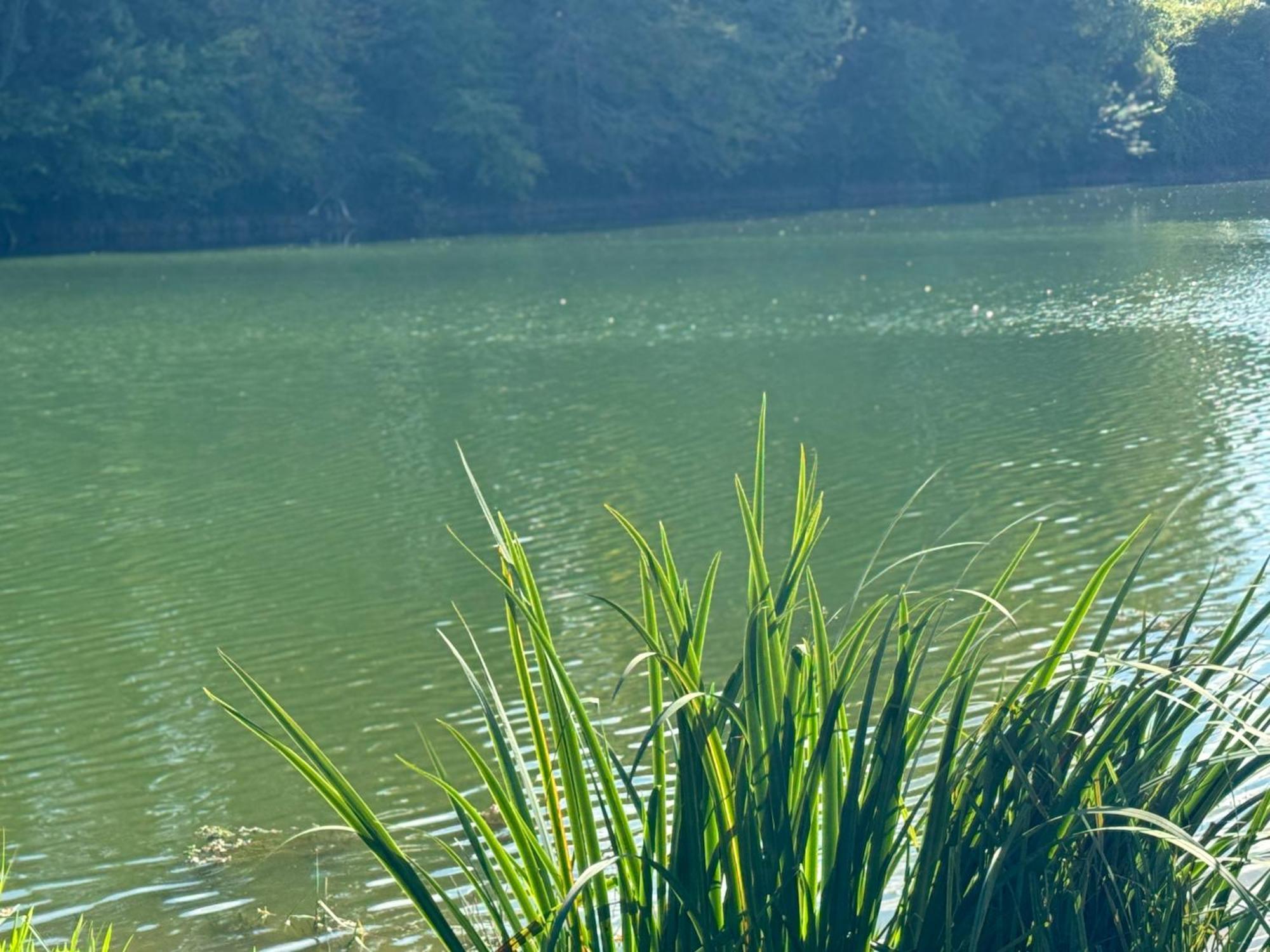 Lac De Lumiere. Relax With Rural Lakeside Living Herry Extérieur photo